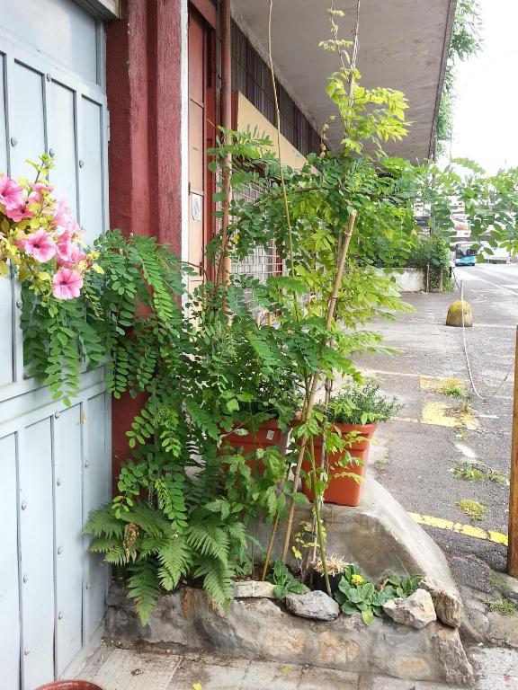 Hotel Lombardia Seveso Værelse billede